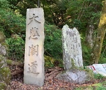 IMG_8521.JPG