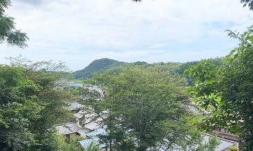 IMG_8651.JPG