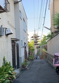 IMG_8716.JPG