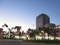 IMG_9020.JPG