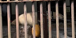 IMG_9112.JPG