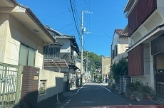 IMG_9253.JPG