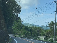 IMG_9423.JPG