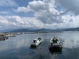IMG_9431.JPG