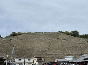 IMG_9432.JPG
