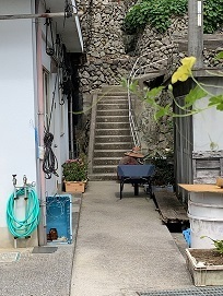 IMG_9441.JPG
