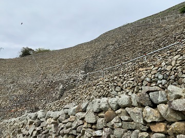 IMG_9448.JPG