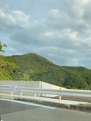 IMG_9465.JPG