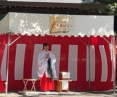 IMG_9473.JPG