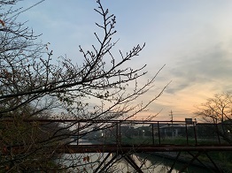 IMG_9777.JPG
