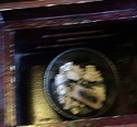 IMG_9805.JPG