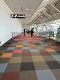 IMG_9833.JPG
