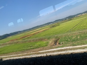 IMG_9839.JPG