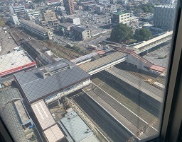 IMG_9861.JPG