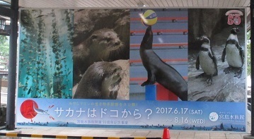 IMG_9867.JPG