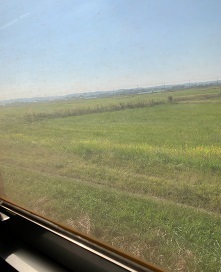 IMG_9875.JPG