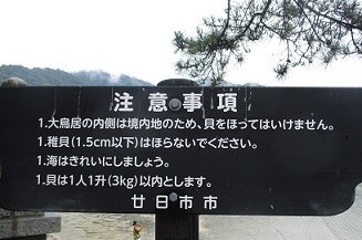 IMG_9882.JPG