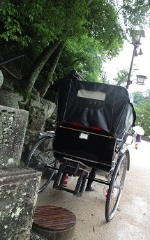 IMG_9884.JPG