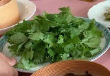IMG_9942.JPG