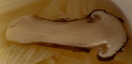 IMG_9946.JPG