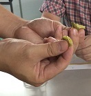 IMG_9954.JPG
