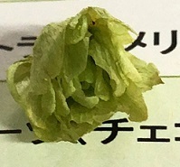 IMG_9958.JPG