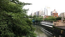 IMG_9960.JPG