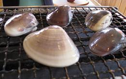 Picture 021.jpg