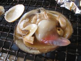 Picture 026.jpg