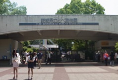 R0011657.JPG