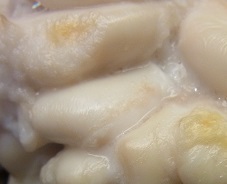 R0014443.JPG