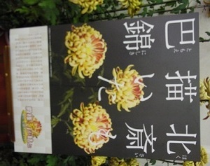 R0014476.JPG