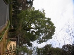 R0016345.JPG