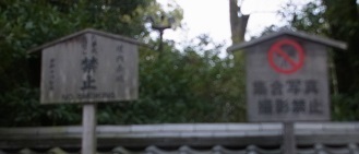 R0016355.JPG