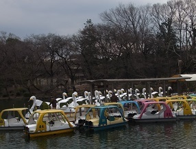 R0017044.JPG