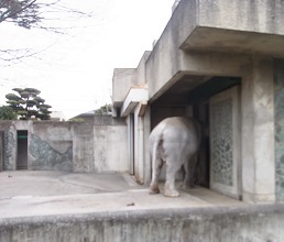 R0017069.JPG