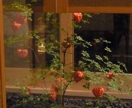 R0017655.JPG