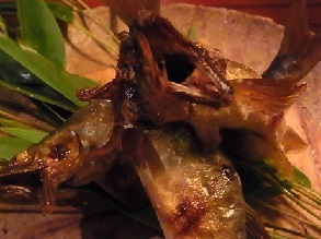 R0017681.JPG