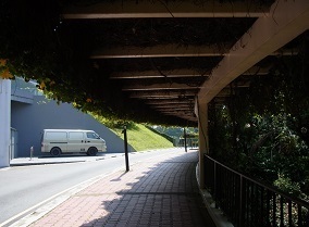 R0018353.JPG