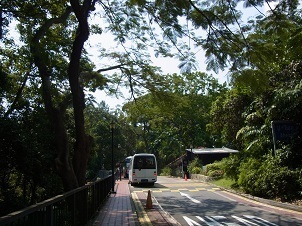 R0018357.JPG