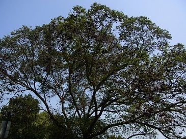 R0018367.JPG