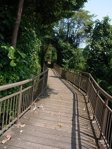 R0018373.JPG
