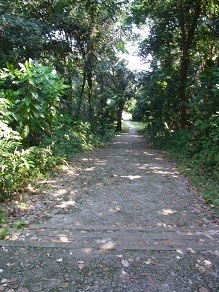 R0018375.JPG