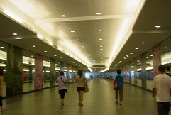 R0018445.JPG