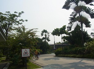 R0018453.JPG