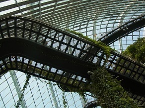 R0018478.JPG