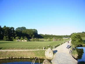 R0019395.JPG