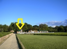 R0019407.JPG
