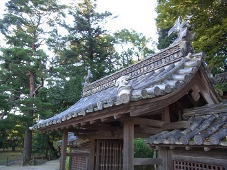 R0019409.JPG