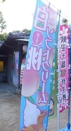 R0019420.JPG